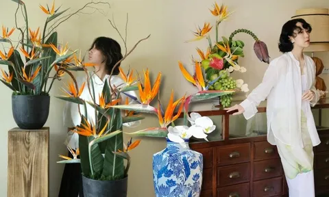 Hoa thiên điểu “đổ bộ” phòng khách ngày Tết: Nhìn là thấy giàu, cắm một lần là nghiện