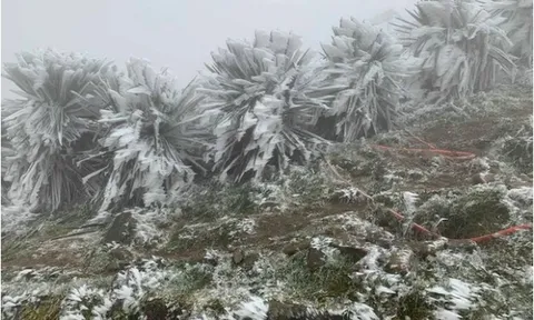 Dự báo thời tiết 8/1: Không khí lạnh tiếp tục tăng cường, miền Bắc rét đến khi nào?