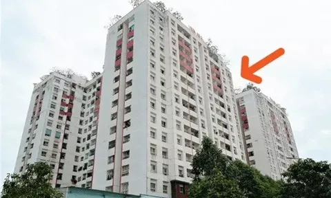 Kiến trúc sư 20 năm kinh nghiệm tiết lộ: Chọn tầng nào cũng được, nhưng đây mới là 'căn hộ vàng' để an cư