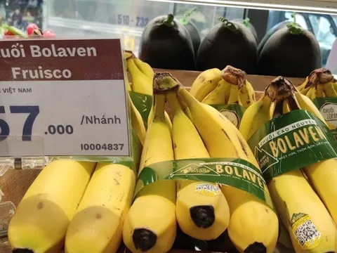 Bầu Đức tiếp tục khoe Hoàng Anh Gia Lai lãi khủng nhờ "heo ăn chuối"