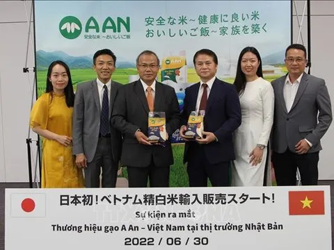 Gạo ST25 Việt Nam đã có 'chỗ đứng' tại thị trường Nhật Bản