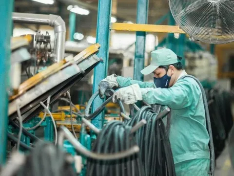 Giá xăng dầu tăng cao kéo ghì lợi nhuận quý II của Cao su Đà Nẵng