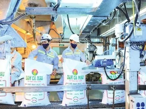 Đạm Cà Mau hoàn thành 91% kế hoạch doanh thu chỉ sau 6 tháng