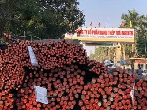 Lợi nhuận quý II/2022 của Gang thép Thái Nguyên tiếp tục lao dốc