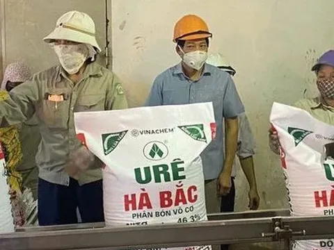 Gió đổi chiều, 4 đại dự án thua lỗ của Vinachem bỗng hồi sinh lãi nghìn tỷ