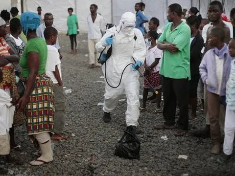 Dịch bệnh “vượt ranh giới loài” lây sang con người tăng đột biến