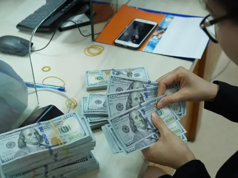 Kho bạc Nhà nước liên tiếp chào mua ngoại tệ