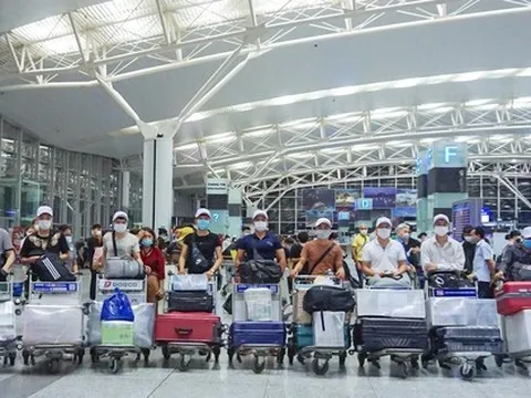 LAO ĐỘNG BỎ TRỐN TẠI HÀN QUỐC: Đừng tự chọn rủi ro!