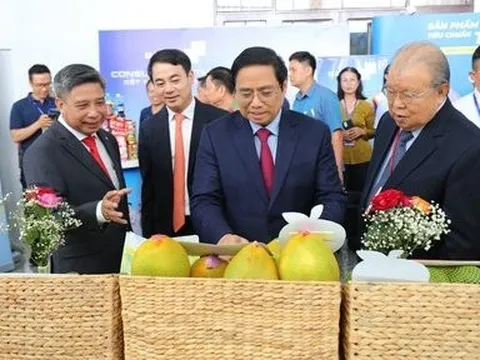 Thủ tướng dự và chỉ đạo hội nghị xúc tiến đầu tư tỉnh Hậu Giang 2022
