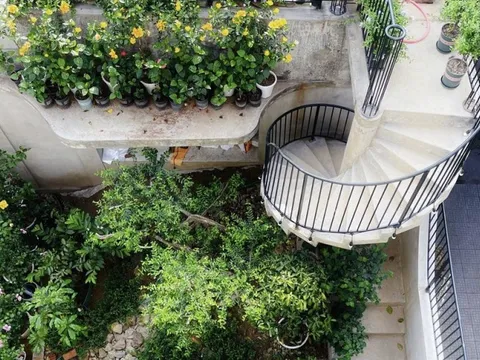 Khu vườn khiến gia chủ 'thích ở nhà hơn đi du lịch'