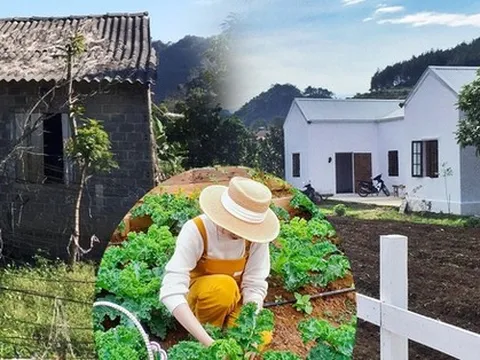 Cô gái sửa nhà kho, nơi nuôi heo thành nhà nông trại: Hình ảnh trước và sau gây bất ngờ