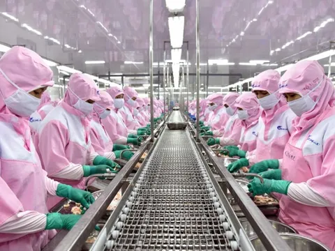 40-50% tàu khai thác hải sản nằm bờ vì giá dầu tăng cao, VASEP đề xuất tạo chính sách khuyến khích nhập khẩu nguyên liệu thuỷ sản