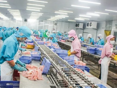 Quy định mới của Trung Quốc đối với thực phẩm lạnh nhập khẩu