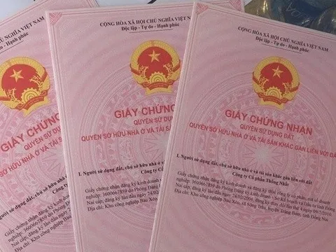 Yêu cầu xử lý các cá nhân, tập thể để xảy ra sai phạm đất đai ở Huế