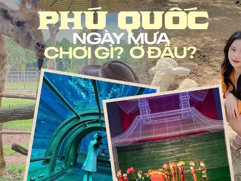 3 điểm vui chơi trong nhà ở Phú Quốc bất chấp ngày mưa: Lưu gấp nếu đang có ý định đi vào mùa này