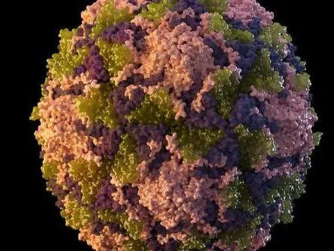 Mỹ: Bệnh biến mất 10 năm tái xuất do virus "rơi" ra từ vắc-xin sống?