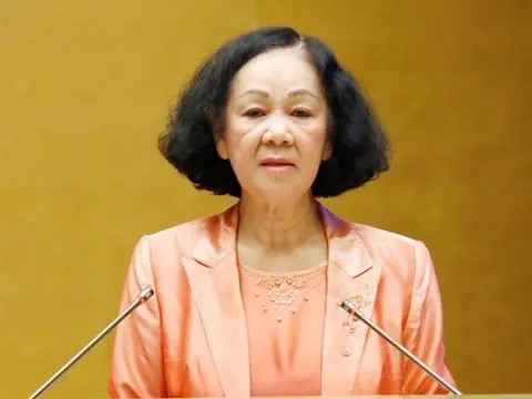 Trưởng Ban Tổ chức Trung ương: 'Không để mấy ông cán bộ bị kỷ luật ngồi đó mãi'!