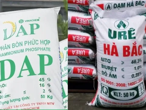 Sự hồi sinh của 2 đại dự án phân bón thuộc Vinachem, từng thua lỗ triền miên giờ lãi hàng trăm tỷ mỗi quý