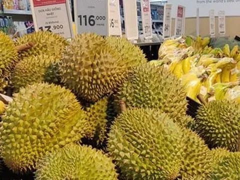 Sầu riêng được Trung Quốc cấp phép, xuất khẩu chính ngạch vẫn không dễ