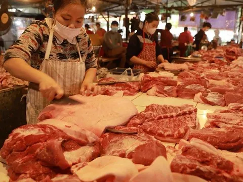 Vì sao giá thịt lợn tăng cao?