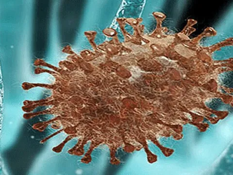 Bệnh cúm có biểu hiện giống cảm cúm thông thường không; ai dễ mắc?