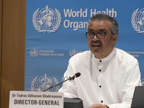 Đậu mùa khỉ: WHO chia 4 nhóm hành động, Việt Nam thuộc nhóm 1