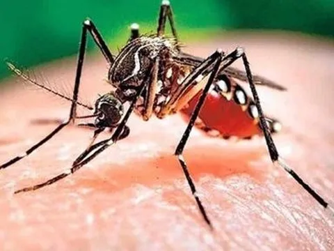 Ghi nhận hơn 124.000 ca mắc, 40 người tử vong do sốt xuất huyết