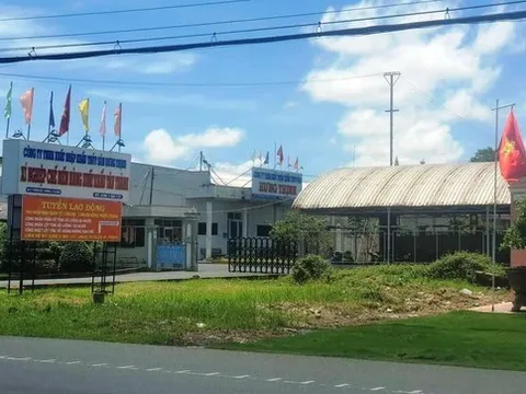 Sở Tư pháp Cà Mau đề nghị thu hồi khu đất hơn 25.000 m2 đấu giá sai quy định