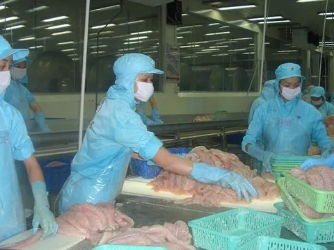 Bối cảnh nhiều thay đổi, giá cá tra xuất khẩu đứng trước áp lực giảm