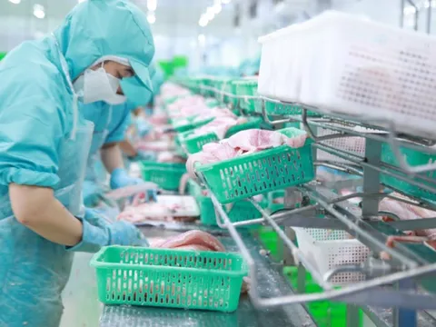 Chủ động nguồn nguyên liệu cá giá tốt, lợi nhuận Đầu tư I.D.I quý II đạt kỷ lục