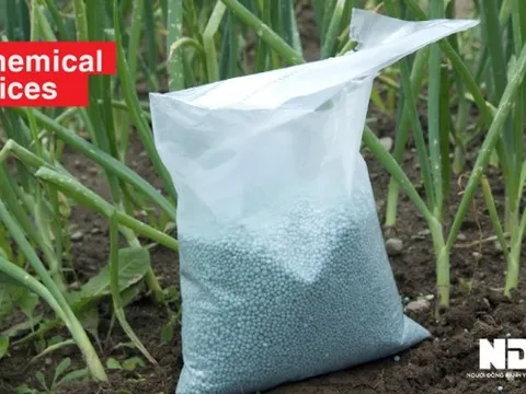 Giá ure, kali, NPK trong nước giảm 5.000-20.000 đồng/bao