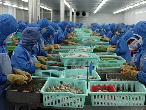 VASEP kêu cứu vì tín dụng đen quấy nhiễu, đe dọa lãnh đạo doanh nghiệp