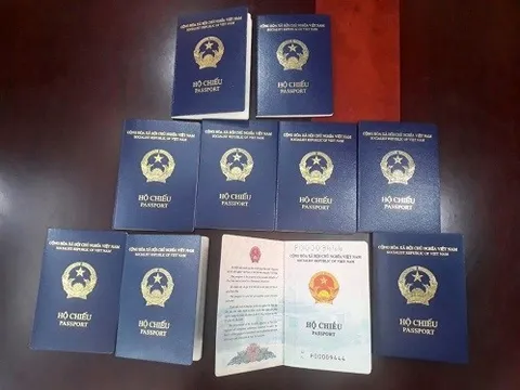 Đức ngừng cấp thị thực hộ chiếu phổ thông Việt Nam mẫu mới xanh tím than