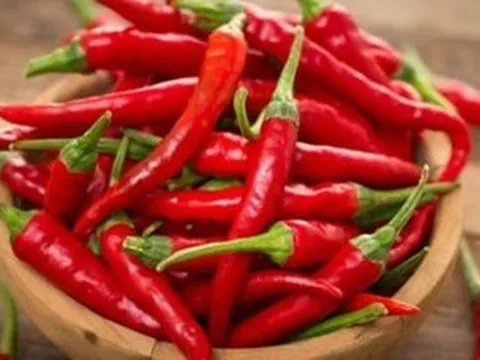 Ớt Việt xuất khẩu phải đi đường vòng