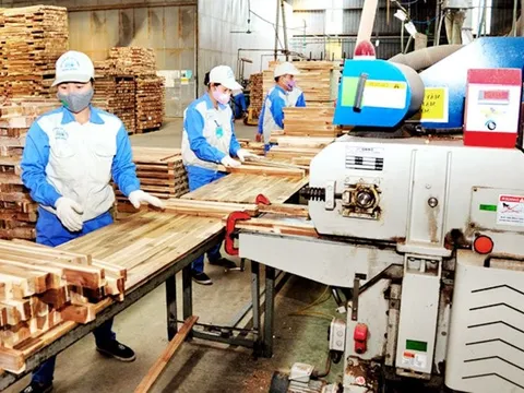 Sản xuất gỗ và lâm sản tiếp tục “giảm tốc”
