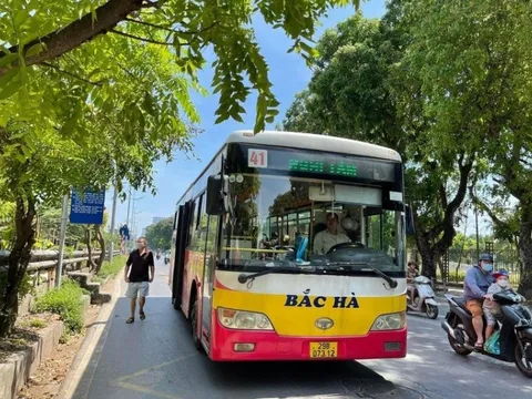 Hà Nội: Đề nghị sớm duyệt nhà thầu thay thế xe buýt Bắc Hà