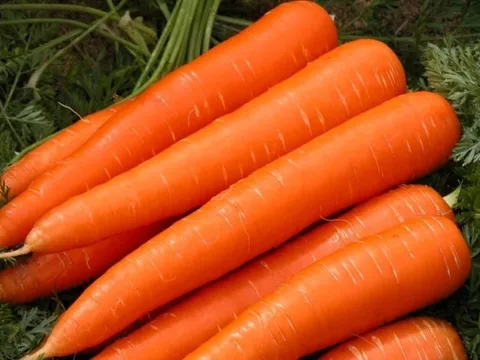 10 loại rau củ giúp làn da sáng khỏe