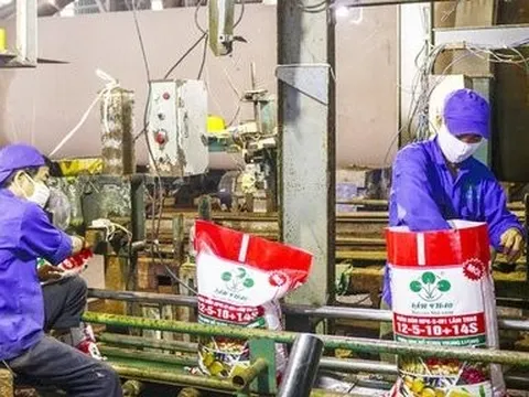 Lợi nhuận Supe Lâm Thao sụt giảm trong quý II/2022