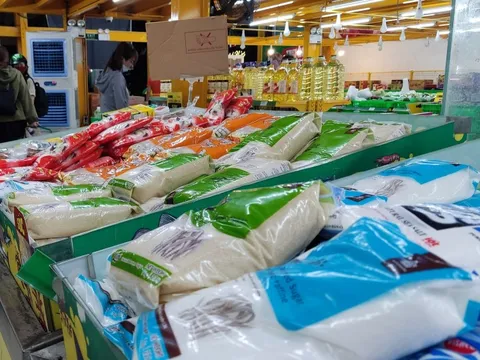 Đứng trước nguy cơ bị xóa sổ, ngành mía đường cầu cứu khẩn