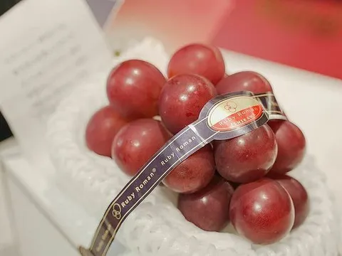 Người nội trợ đua nhau mua nho đắt nhất thế giới bán tràn lan tại Việt Nam