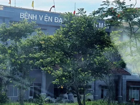 Cận cảnh bệnh viện đa khoa hàng trăm tỷ hoang tàn, cây dại bủa vây tại Huế