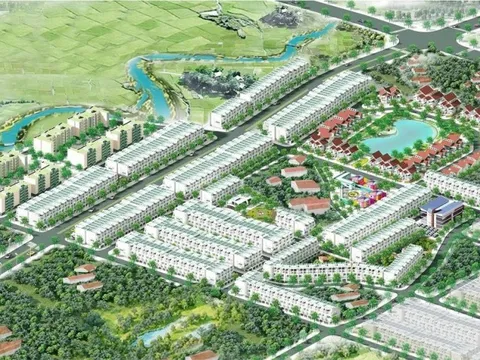 Kosy: 6 tháng hoàn thành 8% kế hoạch lợi nhuận năm