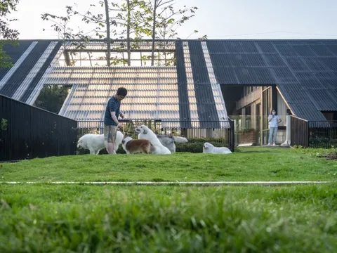 Thiết kế mái nhà độc đáo tạo nên nơi sống hoà hợp giữa con người và thú cưng