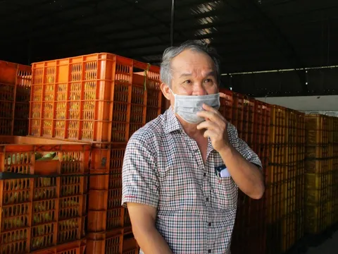 Bầu Đức: Hoàng Anh Gia Lai có hơn 1.000 ha sầu riêng sắp thu hoạch