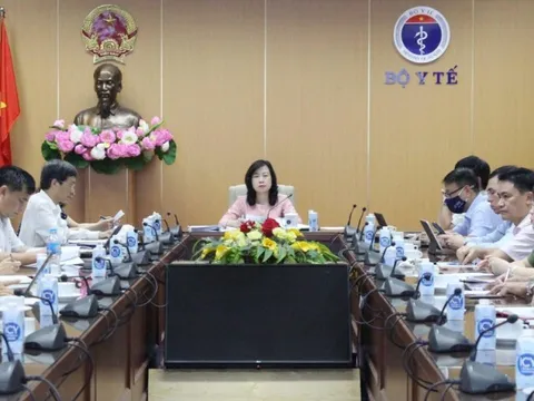 Quyền Bộ trưởng Đào Hồng Lan: Nguy cơ dịch chồng dịch là hiện hữu