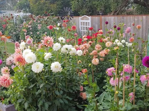 Khu vườn thơ mộng của người mẹ cùng cô con gái nhỏ xinh đẹp