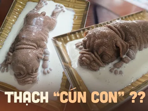 Món thạch "cún con" đang nổi ở TP.HCM: Nhìn giống thật đến nỗi nhiều thực khách không dám ăn
