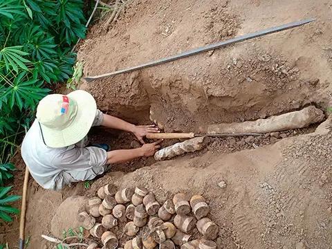 Nổ bom bi, 2 bé trai nguy kịch