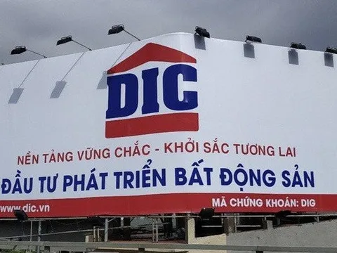 Phó Chủ tịch DIG lại mua "hụt" cổ phiếu