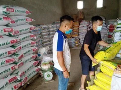 Vì sao nhiều loại phân bón vẫn tăng giá kỷ lục?